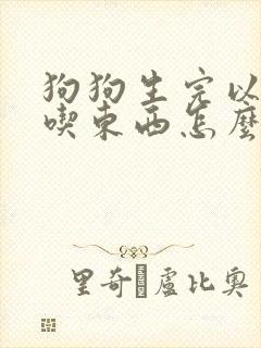 狗狗生完以后不吃东西怎么办