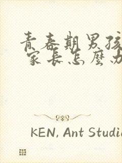 青春期男孩叛逆 家长怎么办封面