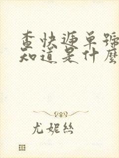 查快递单号怎么知道是什么东西