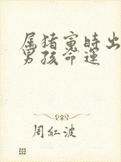 属猪寅时出生的男孩命运