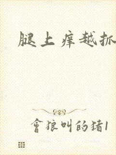 腿上痒越抓越痒封面