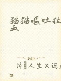 猫猫呕吐拉稀带血封面