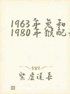 1963年兔和1980年猴配婚姻好不好封面