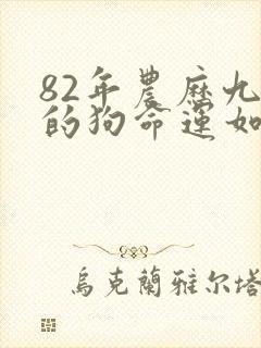 82年农历九月的狗命运如何