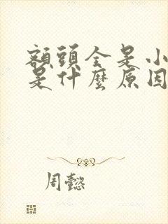 额头全是小痘痘是什么原因