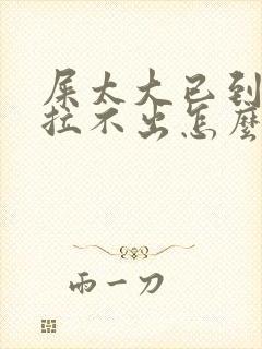 屎太大已到肛门拉不出怎么办