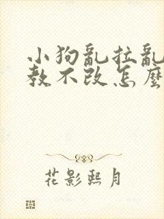 小狗乱拉乱尿屡教不改怎么办