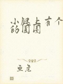 小腿上有个红色的圆圈