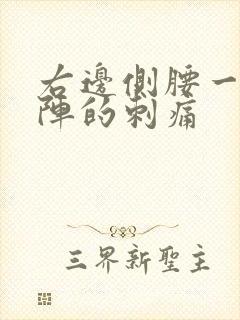 右边侧腰一阵一阵的刺痛封面