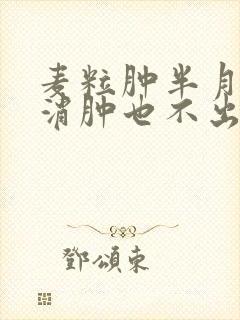 麦粒肿半月了不消肿也不出脓怎么办封面