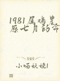 1981属鸡农历七月的命运