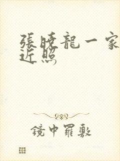 张晓龙一家三口近照封面