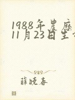1988年农历11月23日生命运