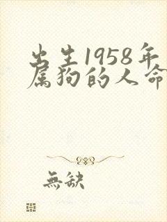 出生1958年属狗的人命运如何