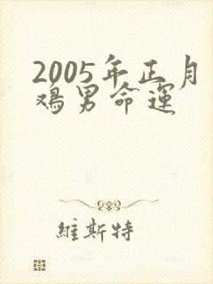 2005年正月鸡男命运封面