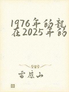 1976年的龙在2025年的运气