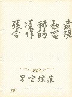 张凌赫和黄景瑜合作的电视剧