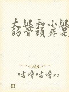 大腿和小腿之间的骨头疼是怎么回事