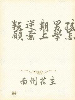 叛逆期男孩子不愿意上学怎么办封面