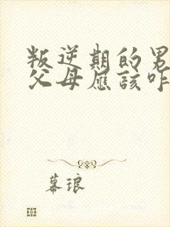 叛逆期的男孩打父母应该咋办