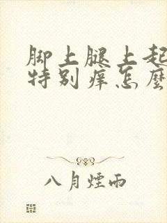 脚上腿上起疙瘩特别痒怎么回事封面