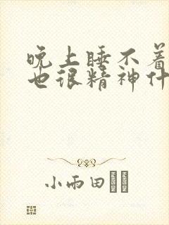 晚上睡不着白天也很精神什么原因