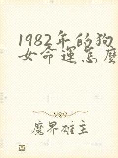 1982年的狗女命运怎么样