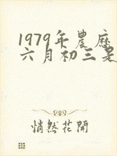 1979年农历六月初三是什么命