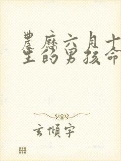 农历六月十六出生的男孩命运