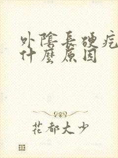 外阴长硬疙瘩是什么原因