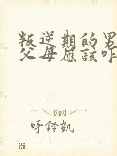 叛逆期的男孩打父母应该咋办