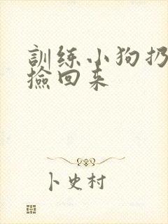 训练小狗扔东西捡回来