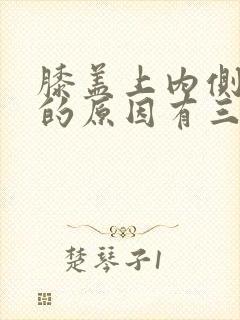 膝盖上内侧疼痛的原因有三种