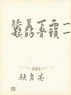 膝盖下面一点凸起的骨头一按就疼