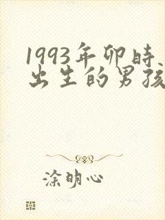 1993年卯时出生的男孩命运