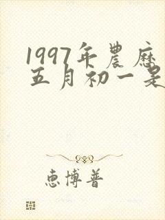 1997年农历五月初一是什么命