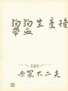 狗狗生产后拉稀带血