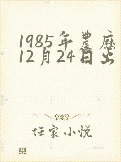 1985年农历12月24日出生的命运怎样