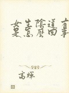 女生阴道有臭味是怎么回事