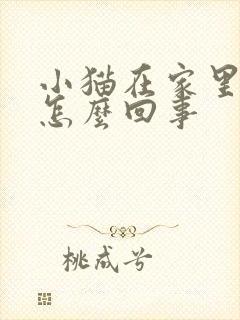 小猫在家里乱尿怎么回事封面