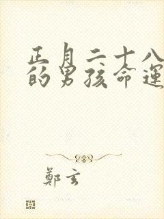 正月二十八出生的男孩命运