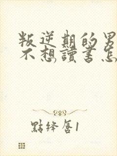 叛逆期的男孩子不想读书怎么办封面