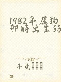 1982年属狗卯时出生的女孩命运