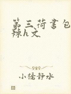第三荷书包网高辣h文封面