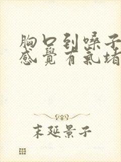 胸口到嗓子眼总感觉有气堵住