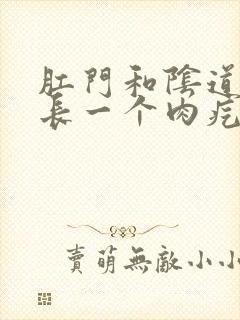 肛门和阴道中间长一个肉疙瘩