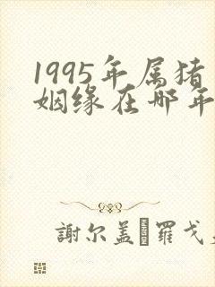 1995年属猪姻缘在哪年