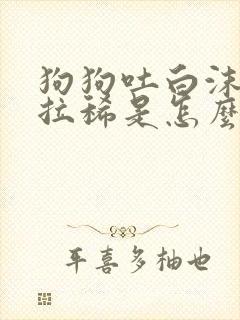 狗狗吐白沫粘液拉稀是怎么回事封面