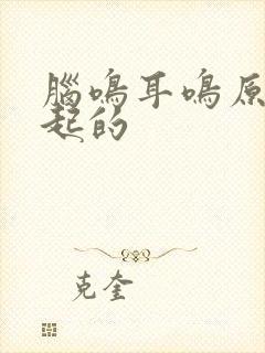 脑鸣耳鸣原因引起的