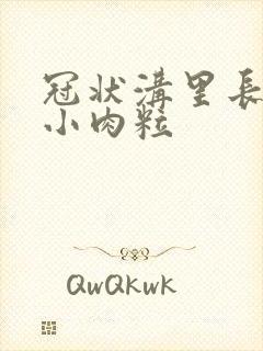 冠状沟里长一个小肉粒